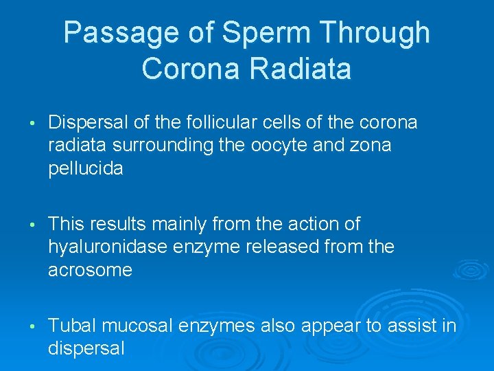 Passage of Sperm Through Corona Radiata • Dispersal of the follicular cells of the