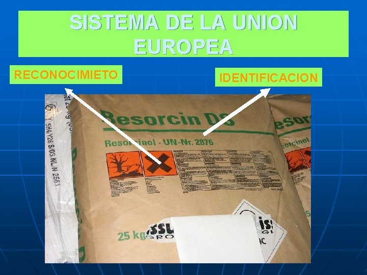 SISTEMA DE LA UNION EUROPEA RECONOCIMIETO IDENTIFICACION 