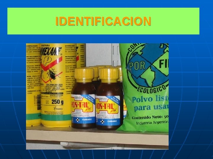 IDENTIFICACION 