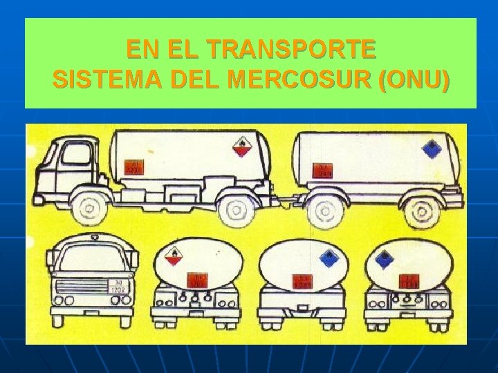 EN EL TRANSPORTE SISTEMA DEL MERCOSUR (ONU) 