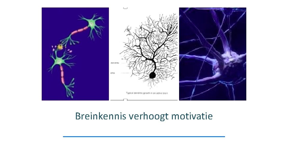 Breinkennis verhoogt motivatie 