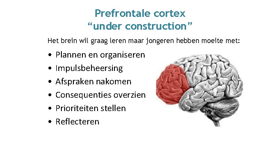 Prefrontale cortex “under construction” Het brein wil graag leren maar jongeren hebben moeite met: