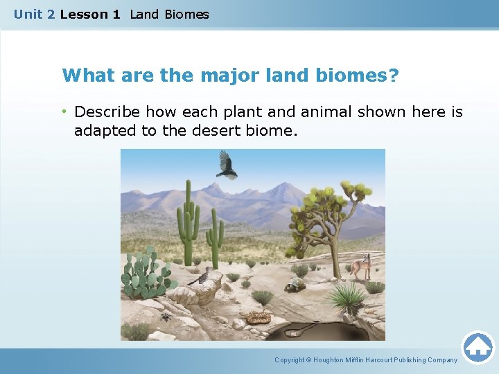 Unit 2 Lesson 1 Land Biomes What are the major land biomes? • Describe