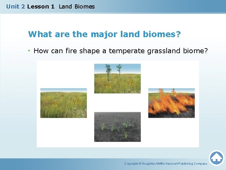 Unit 2 Lesson 1 Land Biomes What are the major land biomes? • How