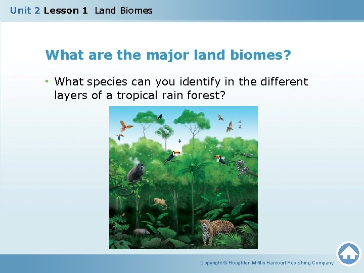 Unit 2 Lesson 1 Land Biomes What are the major land biomes? • What