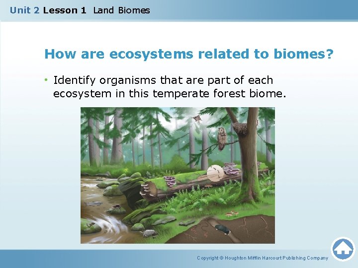Unit 2 Lesson 1 Land Biomes How are ecosystems related to biomes? • Identify