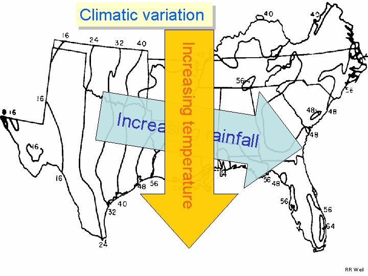 Climatic variation Increasing temperature Increas ing rain fall RR Weil 