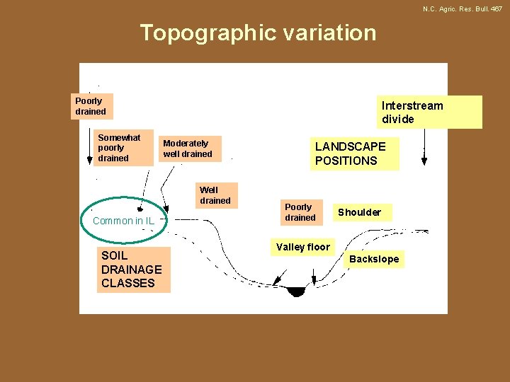 N. C. Agric. Res. Bull. 467 Topographic variation Poorly drained Somewhat poorly drained Interstream