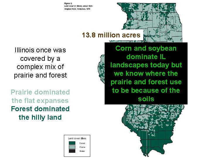 How much of Illinois was originally covered by tallbygrass forest prairie ? ? 13.