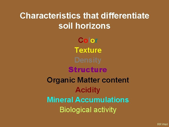 Characteristics that differentiate soil horizons Color Texture Density Structure Organic Matter content Acidity Mineral