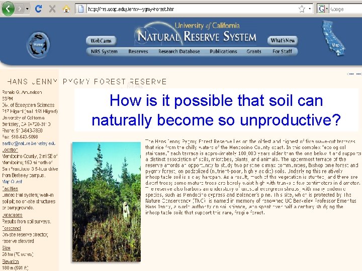 How is it possible that soil can naturally become so unproductive? 