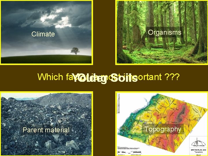 Climate Organisms Which factor is most important ? ? ? Young Older Soils Parent