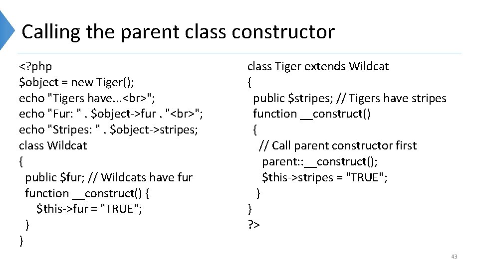 Calling the parent class constructor <? php $object = new Tiger(); echo "Tigers have.