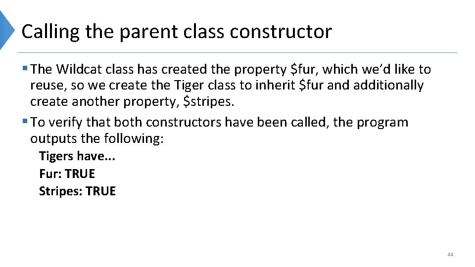 Calling the parent class constructor § The Wildcat class has created the property $fur,