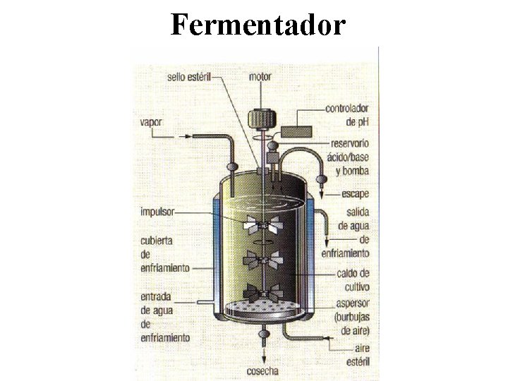 Fermentador 