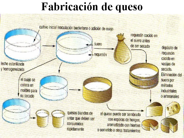 Fabricación de queso 