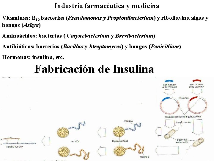 Industria farmacéutica y medicina Vitaminas: B 12 bacterias (Pseudomonas y Propionibacterium) y riboflavina algas