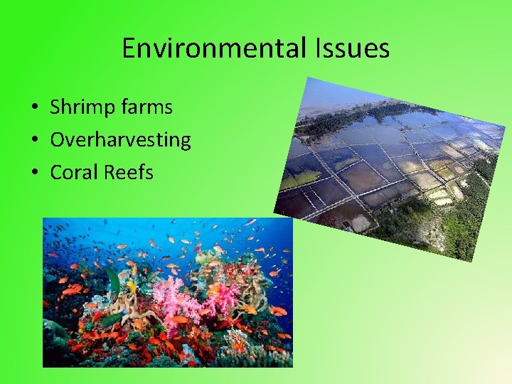 Environmental Issues • Shrimp farms • Overharvesting • Coral Reefs 