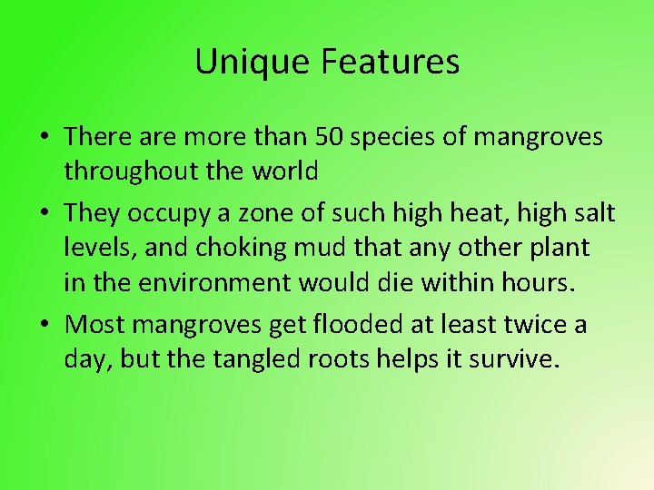 Unique Features • There are more than 50 species of mangroves throughout the world