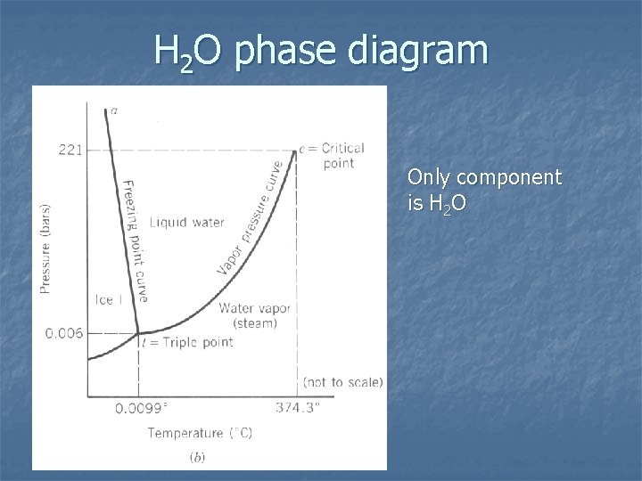 H 2 O phase diagram Only component is H 2 O 