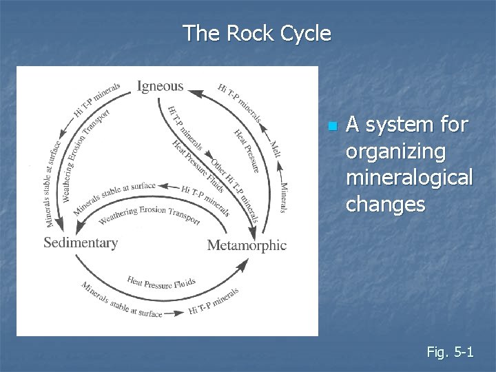 The Rock Cycle n A system for organizing mineralogical changes Fig. 5 -1 