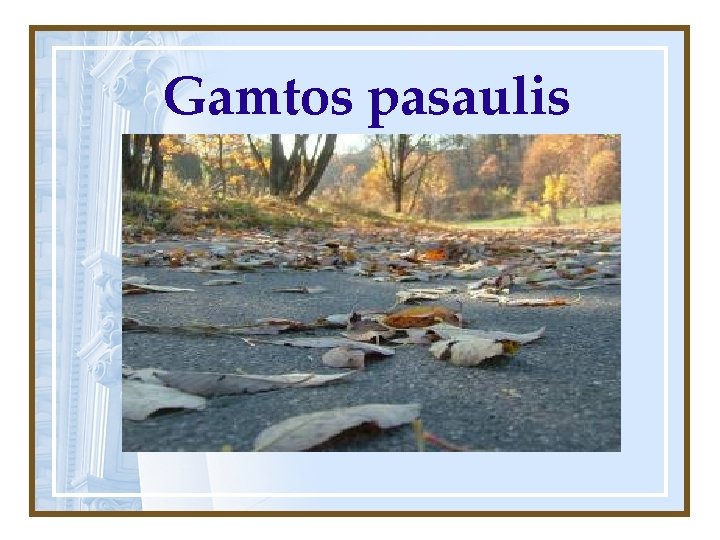 Gamtos pasaulis 