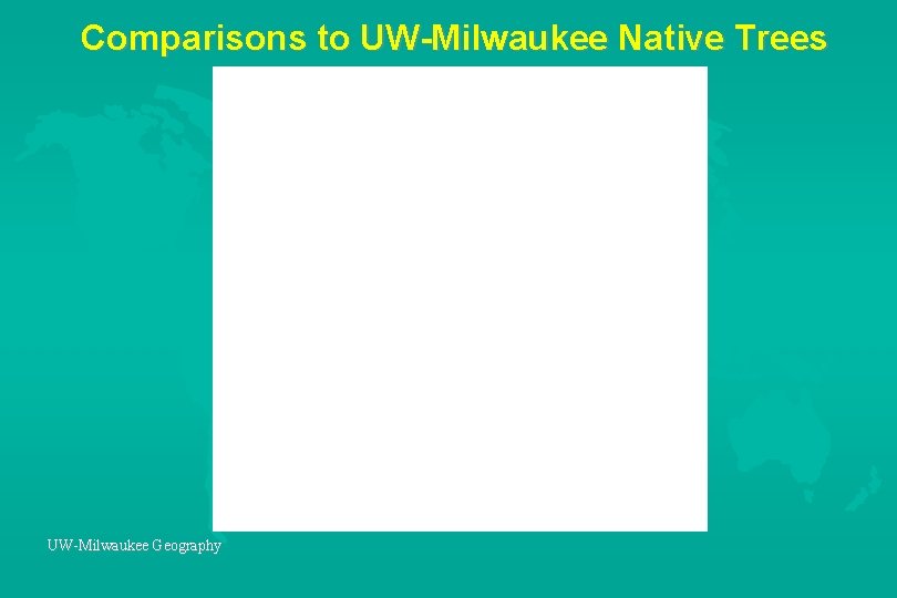 Comparisons to UW-Milwaukee Native Trees UW-Milwaukee Geography 