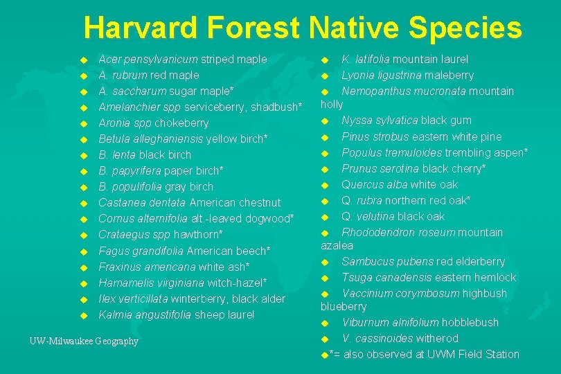 Harvard Forest Native Species u u u u u Acer pensylvanicum striped maple A.