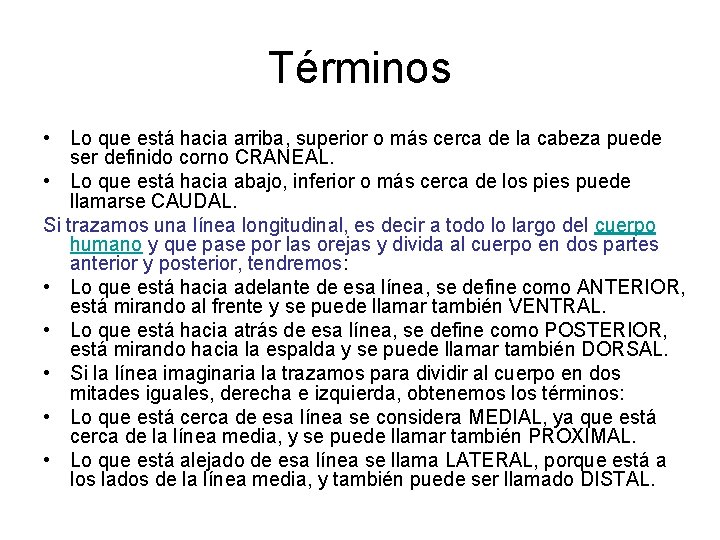 Términos • Lo que está hacia arriba, superior o más cerca de la cabeza