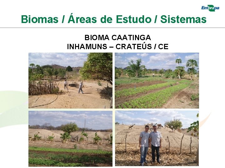 Biomas / Áreas de Estudo / Sistemas BIOMA CAATINGA INHAMUNS – CRATEÚS / CE