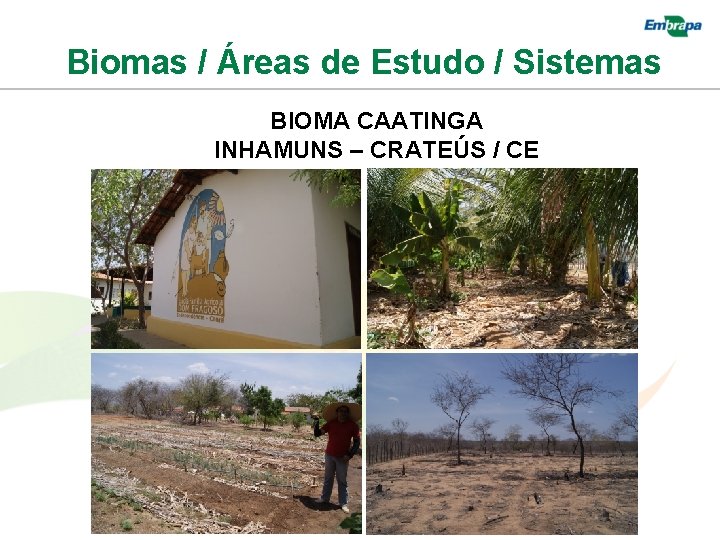 Biomas / Áreas de Estudo / Sistemas BIOMA CAATINGA INHAMUNS – CRATEÚS / CE