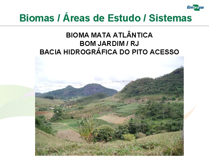 Biomas / Áreas de Estudo / Sistemas BIOMA MATA ATL NTICA BOM JARDIM /