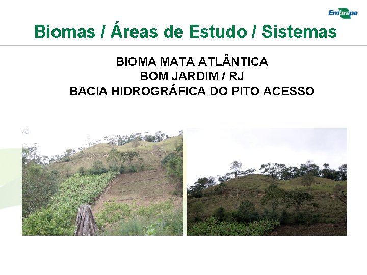 Biomas / Áreas de Estudo / Sistemas BIOMA MATA ATL NTICA BOM JARDIM /