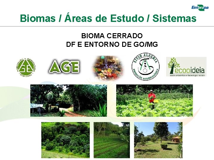 Biomas / Áreas de Estudo / Sistemas BIOMA CERRADO DF E ENTORNO DE GO/MG