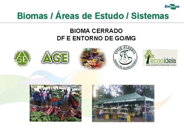 Biomas / Áreas de Estudo / Sistemas BIOMA CERRADO DF E ENTORNO DE GO/MG
