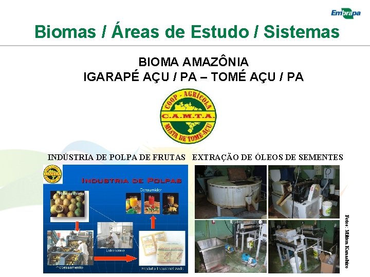 Biomas / Áreas de Estudo / Sistemas BIOMA AMAZÔNIA IGARAPÉ AÇU / PA –