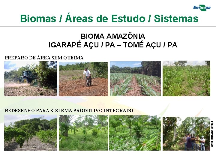 Biomas / Áreas de Estudo / Sistemas BIOMA AMAZÔNIA IGARAPÉ AÇU / PA –