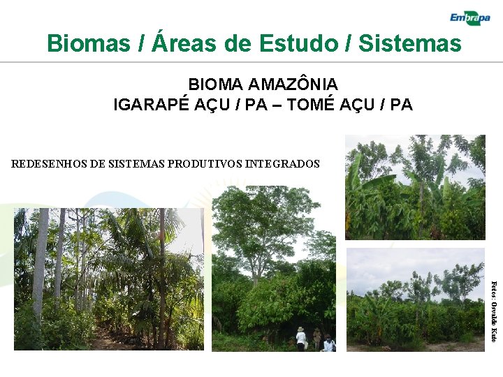 Biomas / Áreas de Estudo / Sistemas BIOMA AMAZÔNIA IGARAPÉ AÇU / PA –