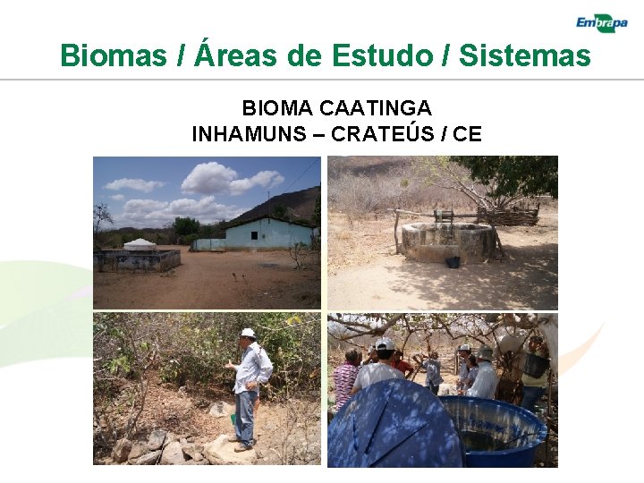 Biomas / Áreas de Estudo / Sistemas BIOMA CAATINGA INHAMUNS – CRATEÚS / CE