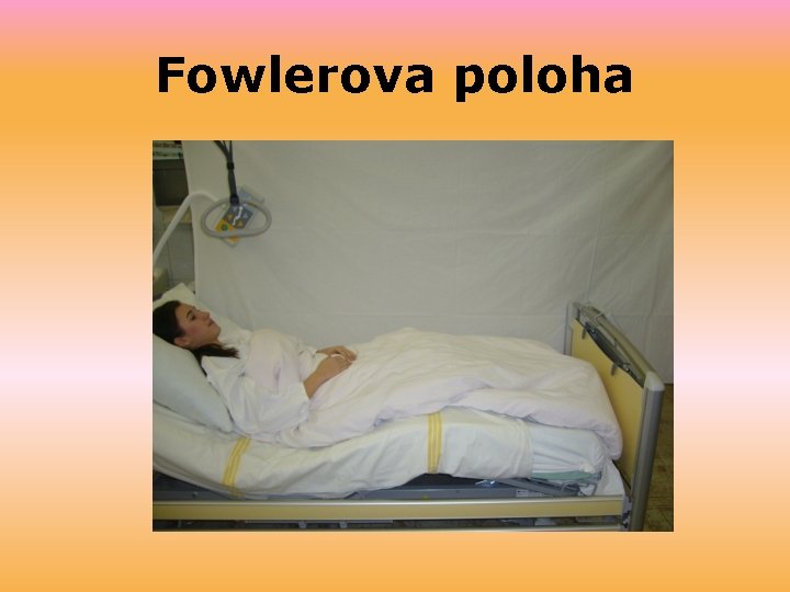 Fowlerova poloha 