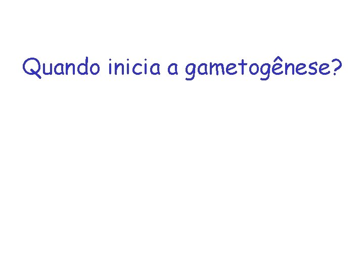 Quando inicia a gametogênese? 