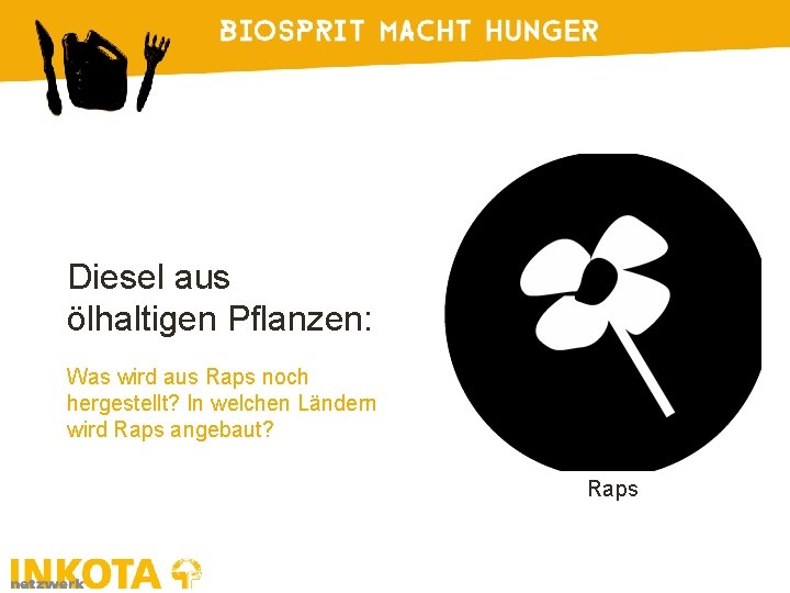 Diesel aus ölhaltigen Pflanzen: Was wird aus Raps noch hergestellt? In welchen Ländern wird