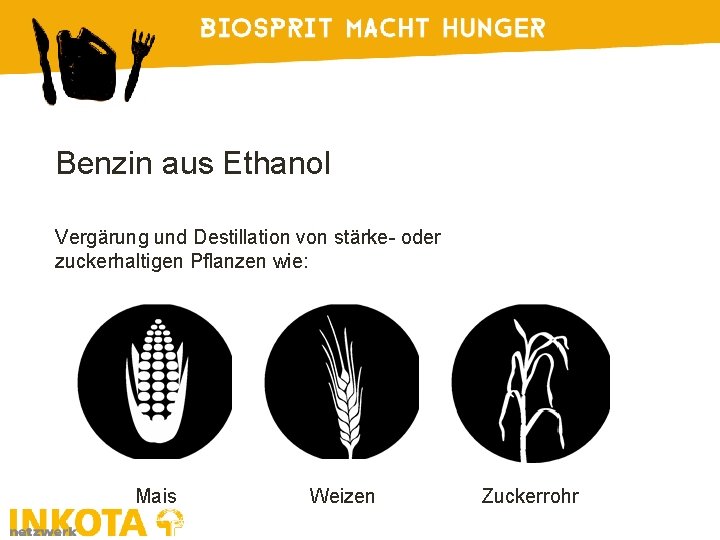 Benzin aus Ethanol Vergärung und Destillation von stärke- oder zuckerhaltigen Pflanzen wie: Mais Weizen