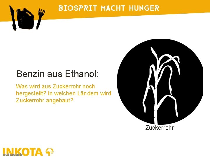 Benzin aus Ethanol: Was wird aus Zuckerrohr noch hergestellt? In welchen Ländern wird Zuckerrohr