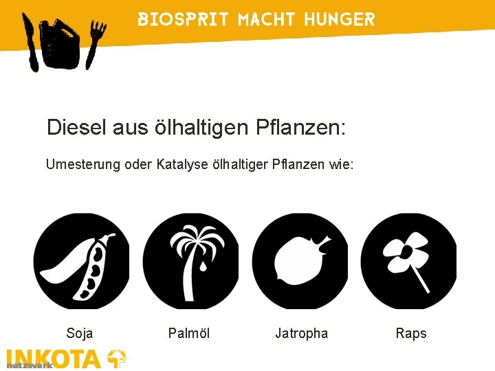 Diesel aus ölhaltigen Pflanzen: Umesterung oder Katalyse ölhaltiger Pflanzen wie: Soja Palmöl Jatropha Raps