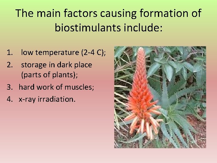 The main factors causing formation of biostimulants include: 1. low temperature (2 -4 C);