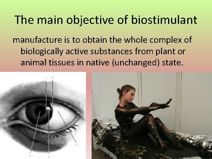 The main objective of biostimulant manufacture is to obtain the whole complex of biologically
