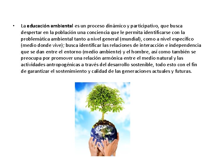  • La educación ambiental es un proceso dinámico y participativo, que busca despertar