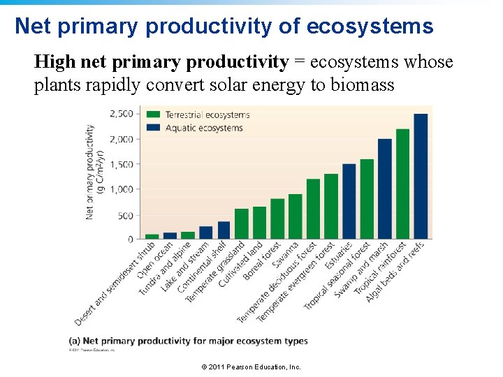 Net primary productivity of ecosystems High net primary productivity = ecosystems whose plants rapidly