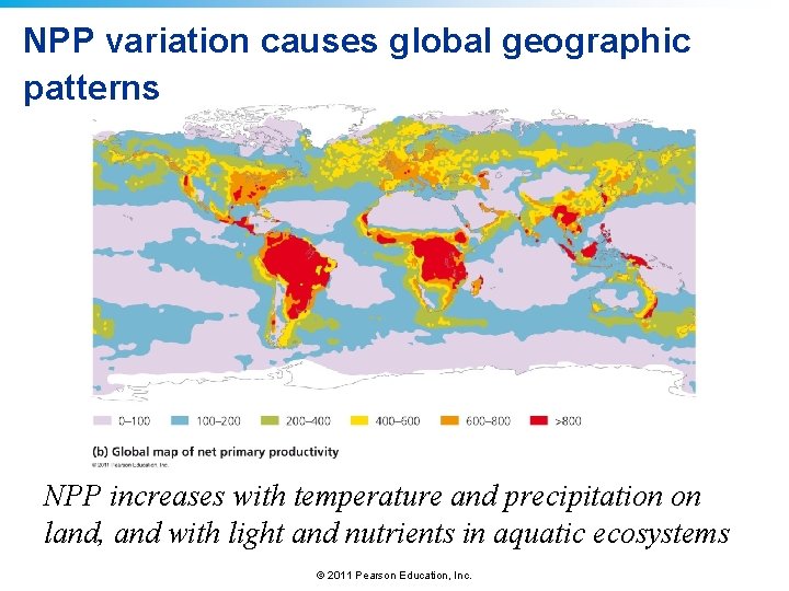 NPP variation causes global geographic patterns NPP increases with temperature and precipitation on land,